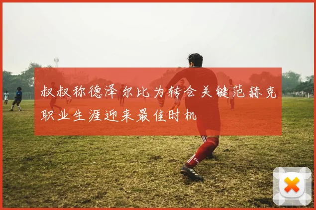 叔叔称德泽尔比为转会关键范赫克职业生涯迎来最佳时机